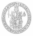 Naples University
